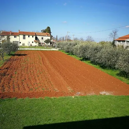 Ljubica *